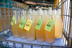 La Grobul’ Factory propose deux saveurs de limonade : au citron ou au sapin. La fabrication se réalise dans une ancienne menuiserie, à Mellionnec (22).