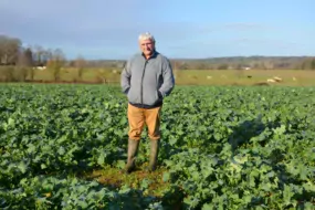 Bertrand Paumier dans son champ de comparaison avec ses bovins en arrière-plan.