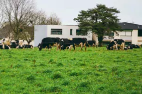 Autour de Rennes, l’agriculture résiste mais rencontre de nombreuses difficultés.