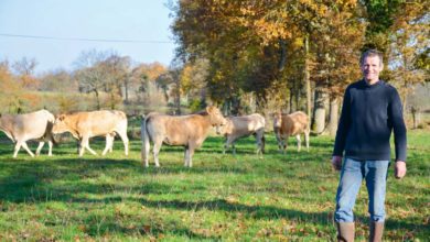 Photo of Se former pour bien communiquer