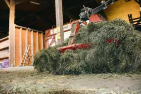 En année défavorable à l’exploitation des pâtures, le foin séché vient en aide au producteur, comme en 2018 où les vaches ont pâturé seulement 90 jours, contre 217 en 2017.