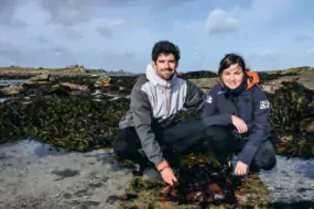 Sébastien Jonas et Célia Jéhanno ont créé Algocea, société spécialisée dans la récolte et le séchage des algues marines ainsi que dans la culture des plantes de bord de mer.