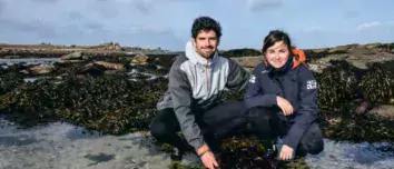 Sébastien Jonas et Célia Jéhanno ont créé Algocea, société spécialisée dans la récolte et le séchage des algues marines ainsi que dans la culture des plantes de bord de mer.