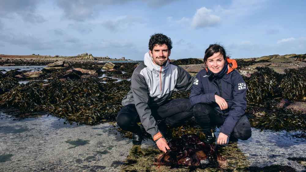 Sébastien Jonas et Célia Jéhanno ont créé Algocea, société spécialisée dans la récolte et le séchage des algues marines ainsi que dans la culture des plantes de bord de mer. - Illustration Les cueilleurs de l’estran