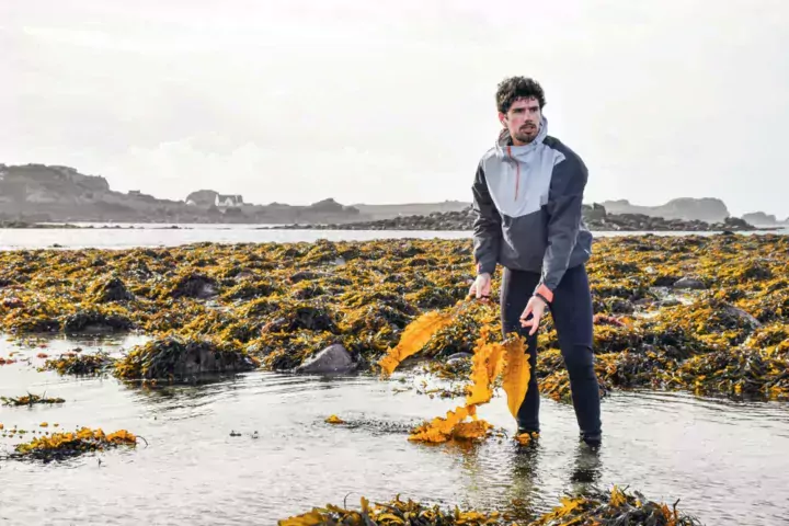 Récoltées à la main, les algues sont ensuite séchées à basse température — aux environs de 30 degrés — afin de conserver toutes leurs propriétés.