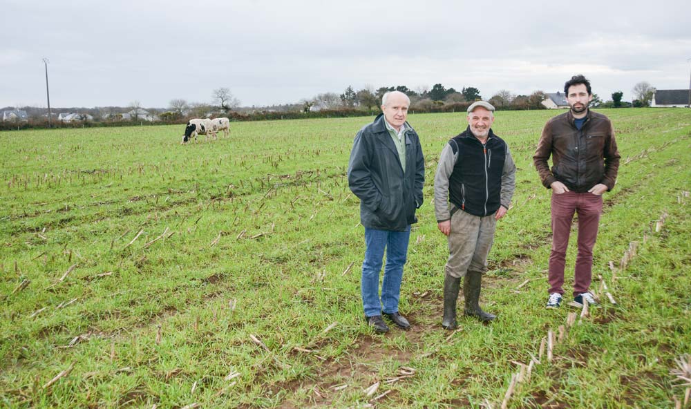 Christophe Bèle, Marc Roudaut et Anthony Momaud, dans une parcelle semée en RGI dans le maïs, et pâturée par les vaches taries. - Illustration Des aides pour garder la dynamique en place en bassin versant