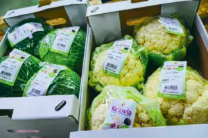 Les choux, légumes phares de la gamme bio pré-emballée.