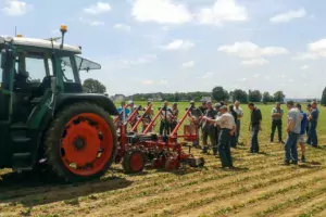 Le GIEE Légumes participe notamment aux expérimentations de désherbage mécanique.