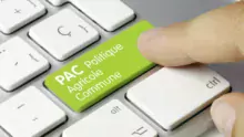 pac-visuel