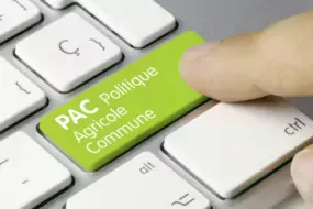 pac-visuel