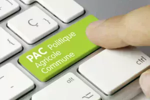 pac-visuel