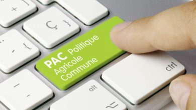 Photo of La Pac post-2020 annonce ses mesures