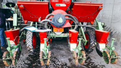 Photo of Maïs : soigner ses pratiques agronomiques