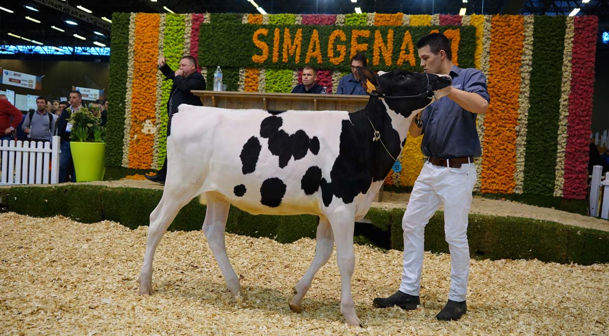  - Illustration Simagena 2019 : le programme du ring