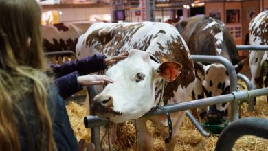 Photo of Un nouveau RDV au Sima 2019 : la journée de l’élevage