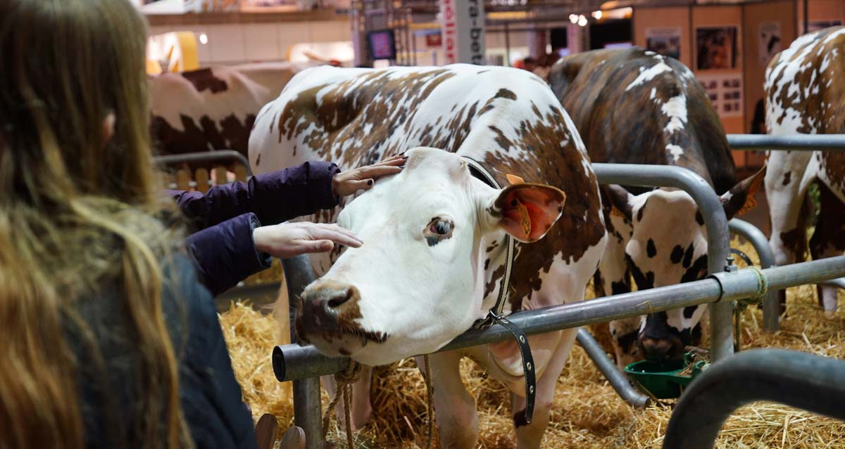 sima2017-simagena - Illustration Un nouveau RDV au Sima 2019 : la journée de l’élevage