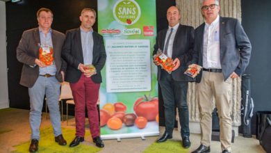Photo of Alliance autour des tomates sans pesticides