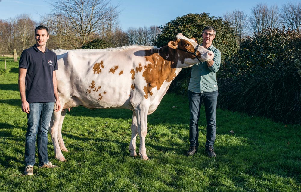 Pour l’anniversaire de ses 20 ans, Camille Plainfossé a reçu un drôle de « cadeau collectif » : son père, Alain, et ses proches lui ont offert Bot Califa, le premier animal rouge du troupeau familial.