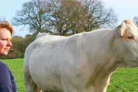 Caroline Le Bodic, agricultrice à Theix-Noyalo (56)