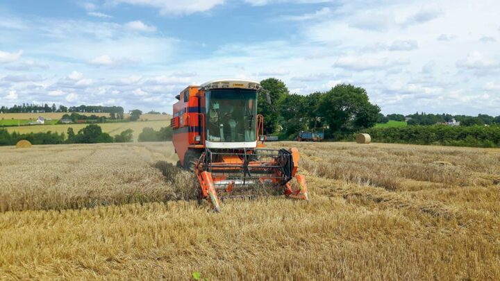 Les essais menés ces dernières années montrent que l’utilisation d’OAD permet de gagner 5 q/ha.