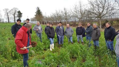 Photo of Retour sur les formations mixtes digitales