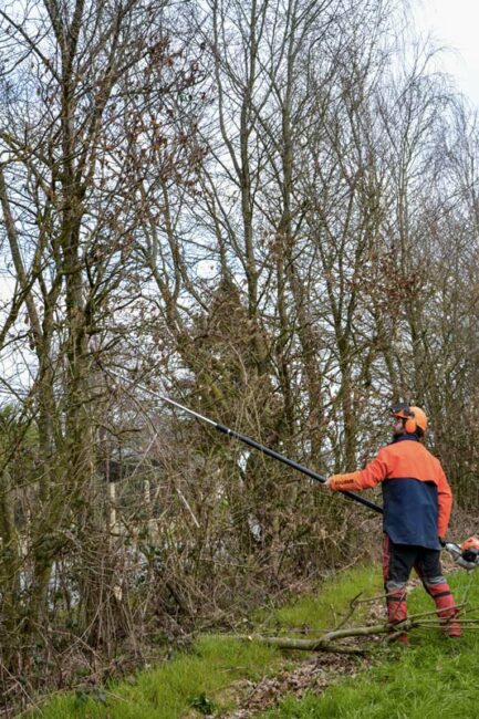 Thierry Guéhenneuc, conseiller en sylviculture et agroforesterie, a proposé des démonstrations de taille de haies.