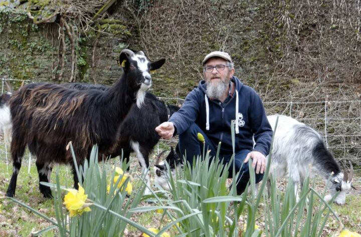 Denis Messager, fondateur d’Argoat Écopaturâge avec ses chèvres des Fossés.