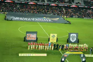 Un tifo de 600 m2 a été déployé sur le terrain de Guingamp avant l’entrée des joueurs sur la pelouse.