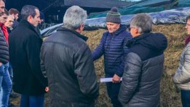 Photo of Fourrage : Presque autant de lait en autonomie