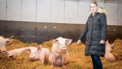 Photo of CMB : Véronique Letort succède à Anne-Françoise Trébéden