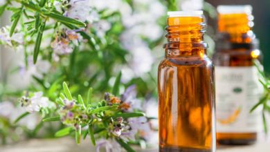 Photo of Phytothérapie : Les plantes contre les troubles respiratoires en élevage porcin