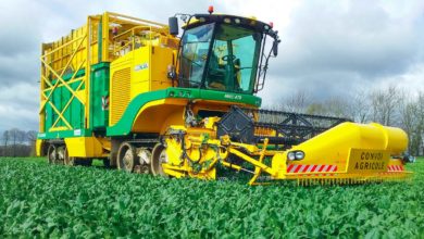 Photo of Légumes industrie : valoriser la segmentation du marché