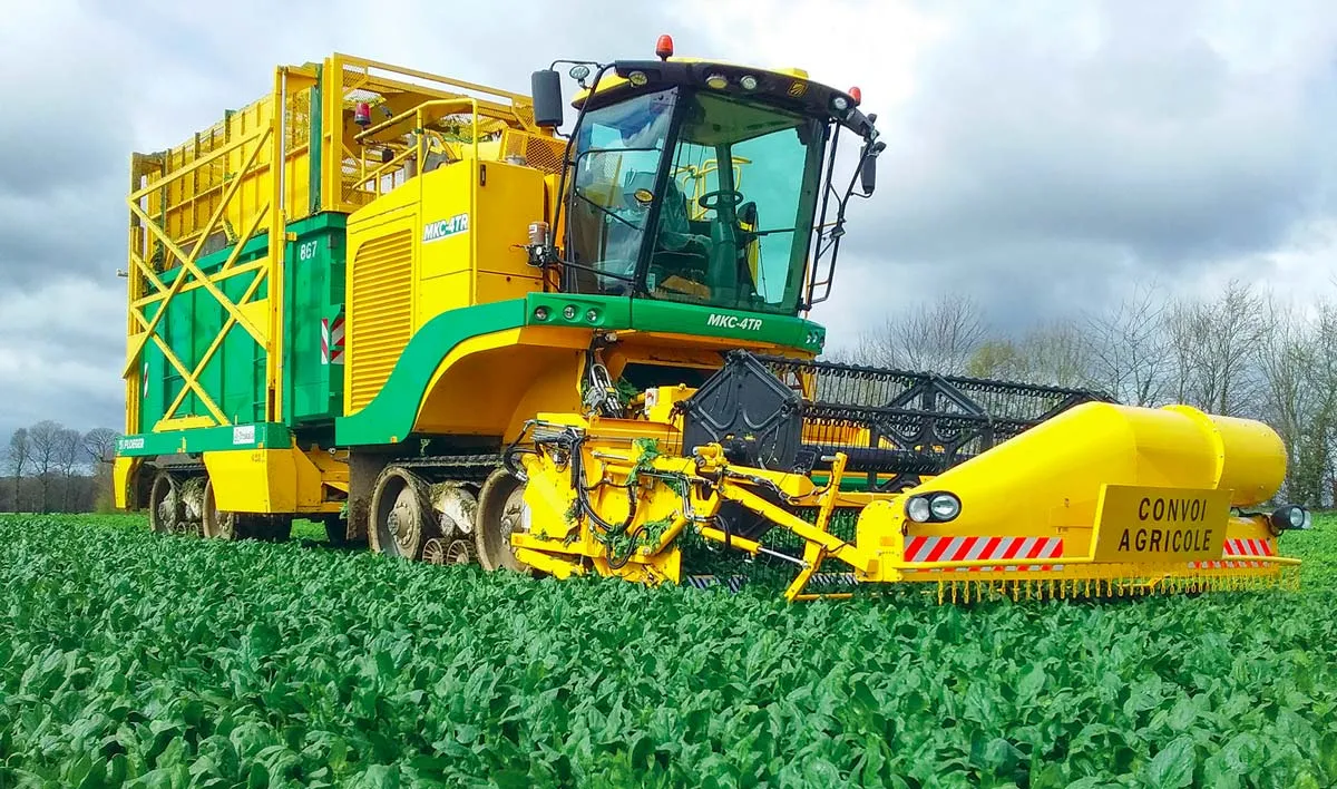 Dès le mois de mars, la récolte épinard se déroule 24 h/24 et 6 jours/7. - Illustration Légumes industrie : valoriser la segmentation du marché