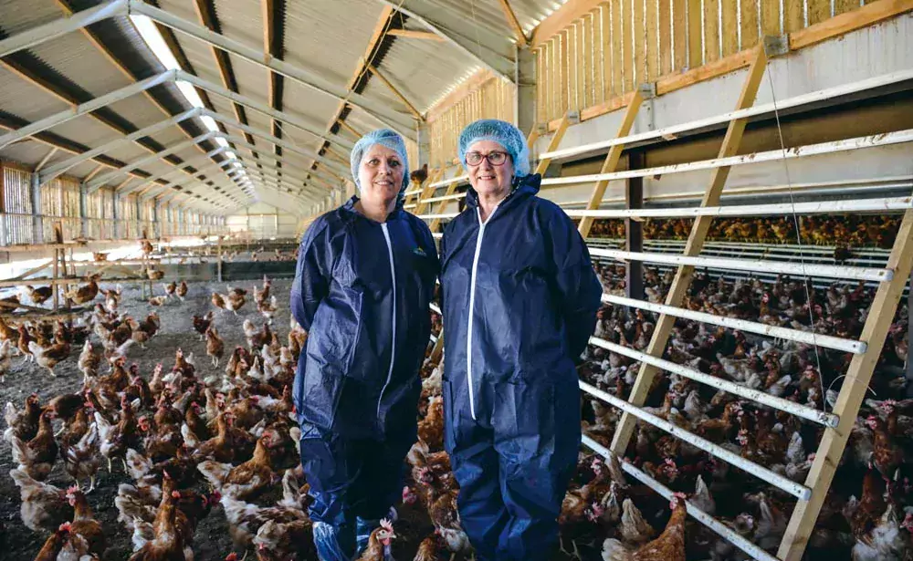 Nathalie Mordelet, responsable technique pondeuse pour Le Gouessant, et Isabelle Guillerm, avicultrice. - Illustration Passage progressif de 4500 à 12000 poules bio