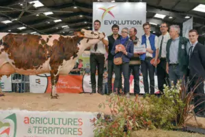 Guadeloupe, appartenant à Hubert Jouault, Championne et Meilleure mamelle adulte du Départemental 2019.