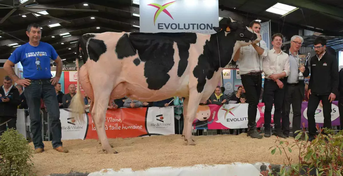 - Illustration Foire de Rennes : Heureuse gagnante du Régional Prim’Holstein
