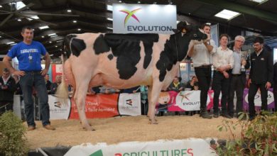 Photo of Foire de Rennes : Heureuse gagnante du Régional Prim’Holstein