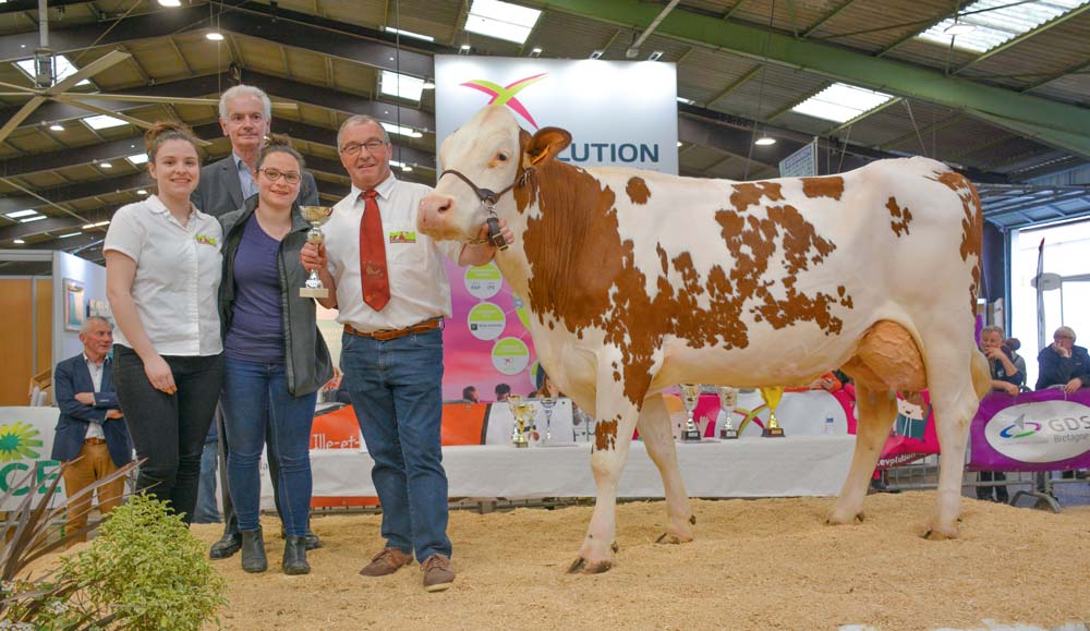  - Illustration Foire de Rennes : Lolistar récidive en Montbéliarde