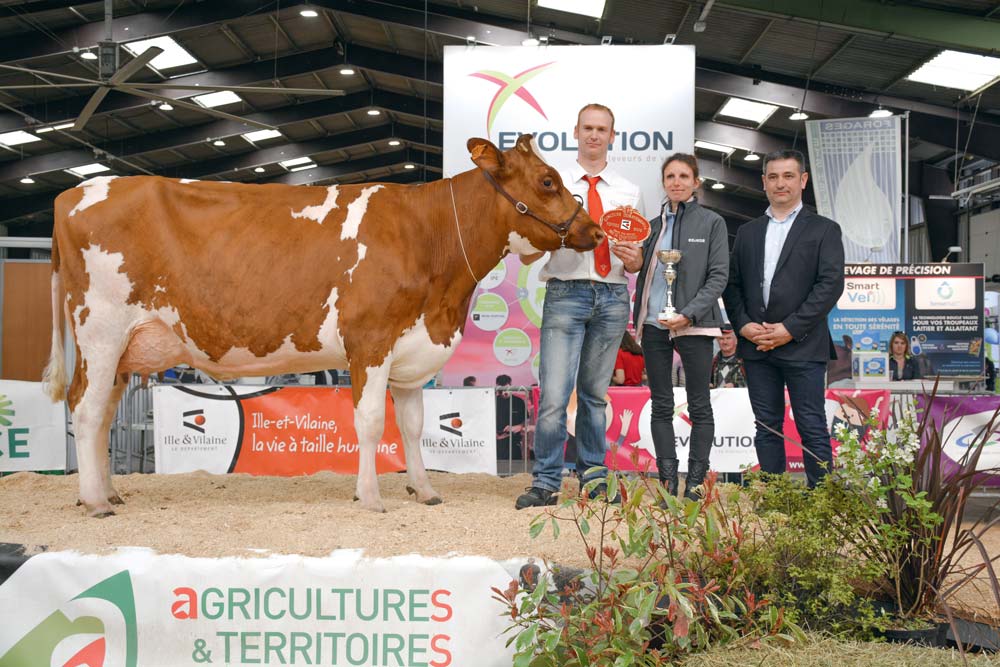  - Illustration Foire de Rennes : Lorraine trône en Pie Rouge