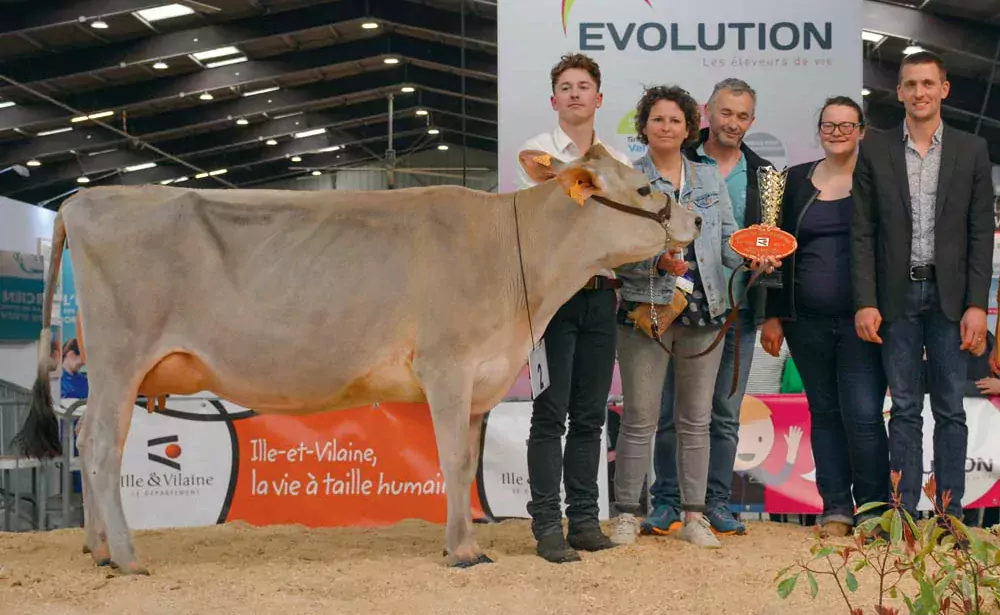 Marina du Gaec Ker Brégère affiche en 2e lactation un TB de 62 et un TP de 39. - Illustration Foire de Rennes : Marina, gagnante du 1er concours jersiais