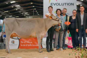 Marina du Gaec Ker Brégère affiche en 2e lactation un TB de 62 et un TP de 39.