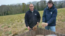 Sébastien Bouget, à gauche, a implanté un miscanthus dans des parcelles en pente. Ici accompagné de Vincent Salou, conseiller à la Chambre régionale d’agriculture.