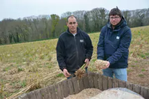 Sébastien Bouget, à gauche, a implanté un miscanthus dans des parcelles en pente. Ici accompagné de Vincent Salou, conseiller à la Chambre régionale d’agriculture.