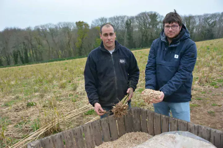 Sébastien Bouget, à gauche, a implanté un miscanthus dans des parcelles en pente. Ici accompagné de Vincent Salou, conseiller à la Chambre régionale d’agriculture.