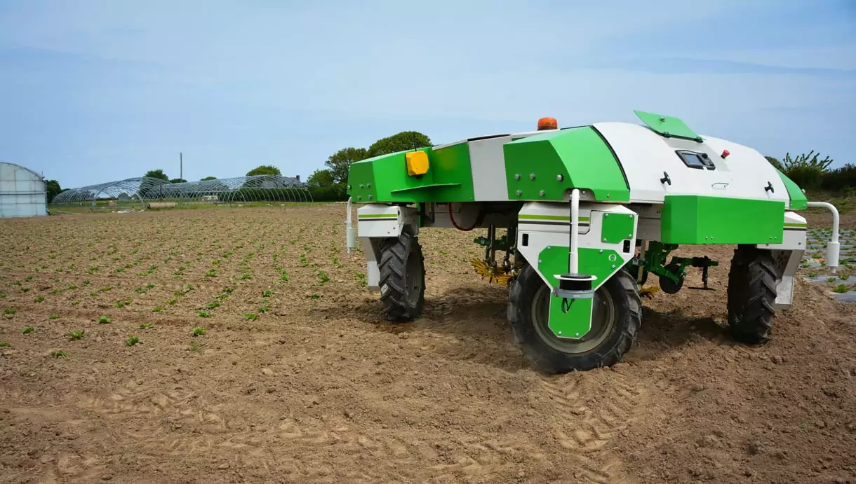 Dino est opérationnel depuis 2017. Il se perfectionne, et pourra embarquer prochainement des outils capables de désherber l’inter- plants. - Illustration Les robots désherbeurs travaillent toujours plus près
