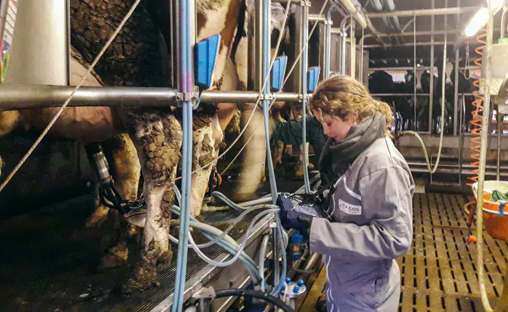 Le « Test pendant la traite » est réalisé sur une dizaine de vaches par un conseiller spécialiste à l’aide d’un appareil spécifique, le « Pulsographe PT 5. - Illustration Un outil pour expertiser la qualité de la traite