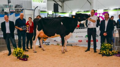 Photo of Prim’Holstein à Agrideiz : Capj Iroise persiste et signe
