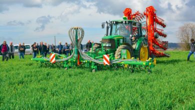 Photo of Des solutions pour cultiver du blé en bio