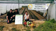 Sur leur ferme de Moustéru, Marc Anquetil et Marie Pernot, accompagnés de Dominique Boutouiller, maraîcher sur Plougonver, présentent le stade de développement d’une culture de tomates en serre froide, ainsi qu’un panier de légumes à la mi-avril qui respecte la saisonnalité. © Gonçalo Goncalves