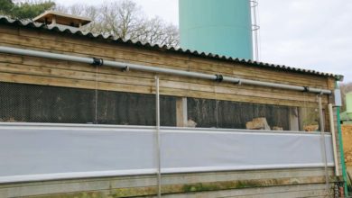 Photo of Un bâtiment porc renouvelé grâce aux filets brise-vent